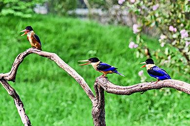 分析称《毁灭战士：黑暗时代》PC和PS5玩家数量有点偏低