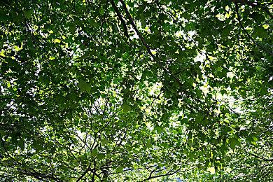 多人本地聚会游戏《内鬼搞搞震》将于2月23日登陆Nintendo Switch平台